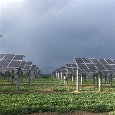 農業用太陽光発電システム